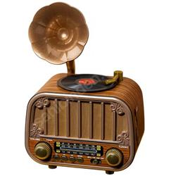 Cemre MTR-2513020 Gramofon Tasarım Radyo
